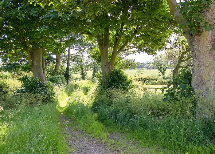 The Barn-ixk Burniston